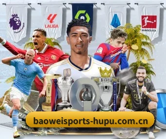 宝威体育 APP（BAOWEI SPORTS）